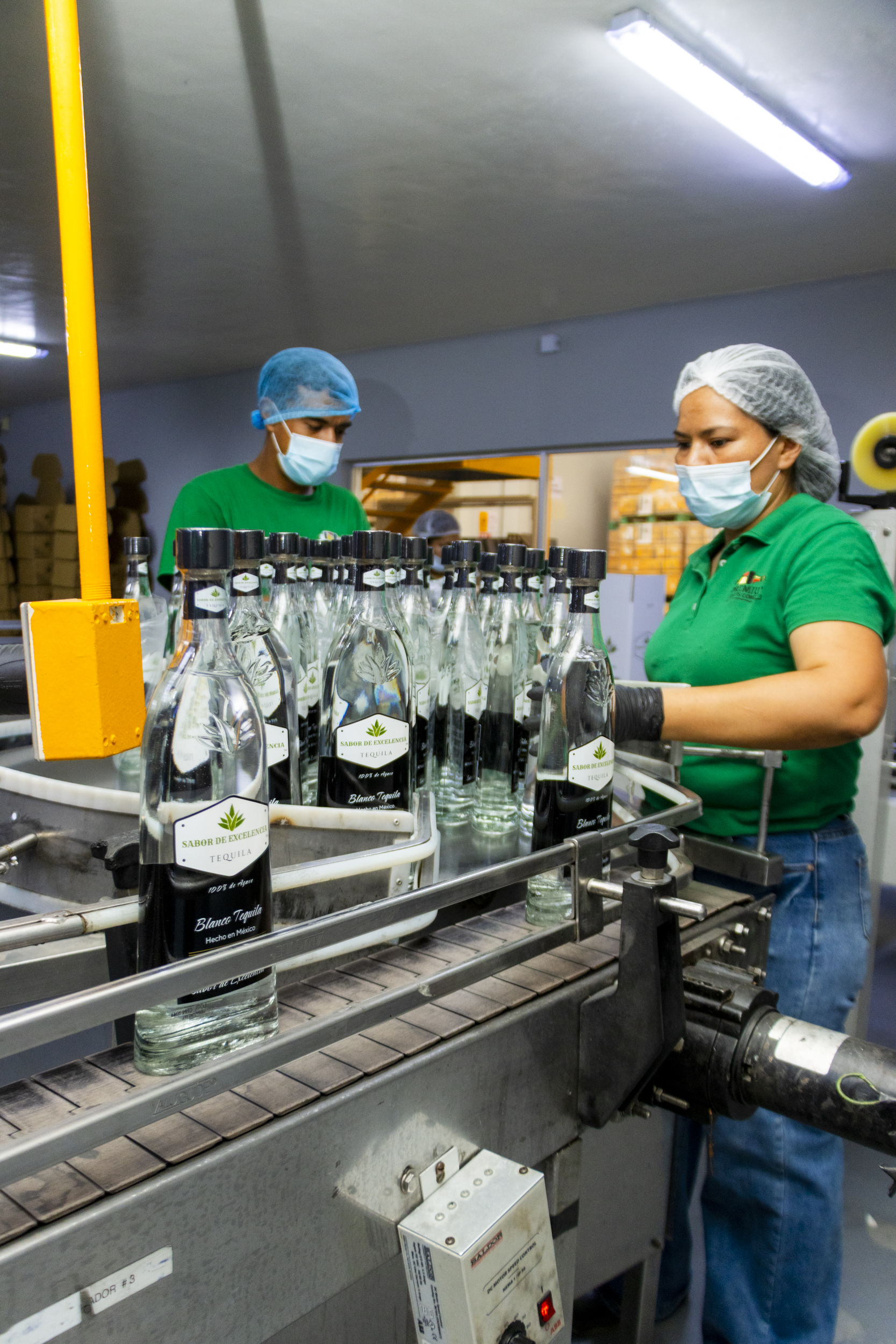 Team working on the bottling line